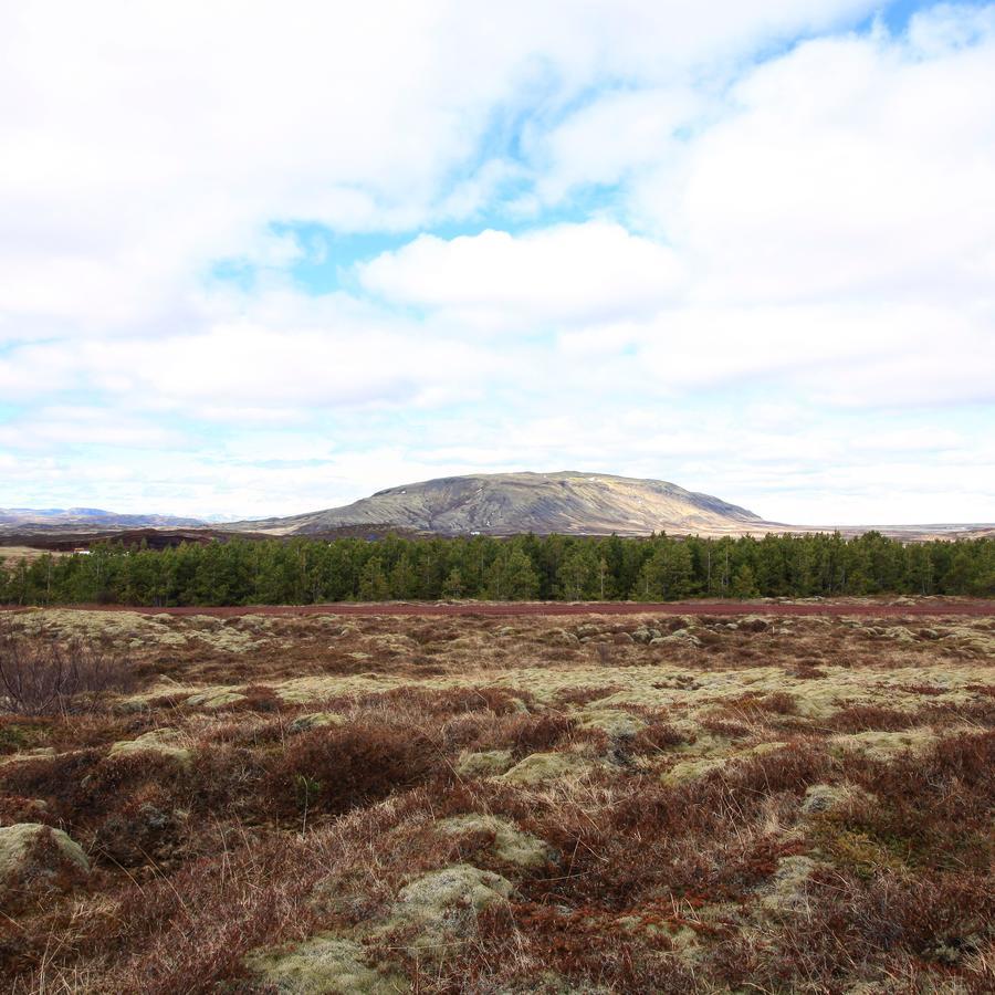 Kerbyggd: Luxury House And Cottage In Golden Circle Selfoss Exteriör bild