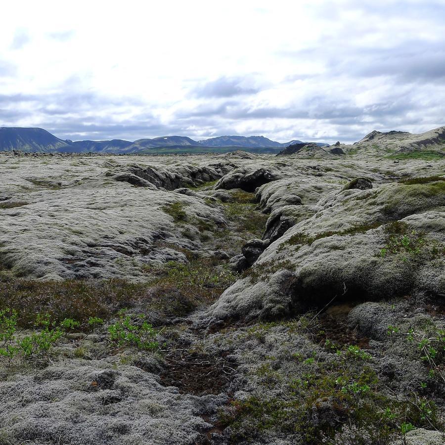 Kerbyggd: Luxury House And Cottage In Golden Circle Selfoss Exteriör bild